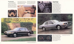 1984 Ford Thunderbird Full Line-12-13.jpg